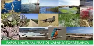 Parque Natural Prat de Cabanes-Torreblanca