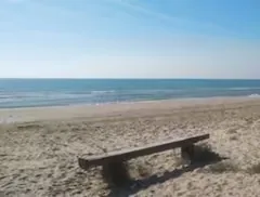 Playa cercana